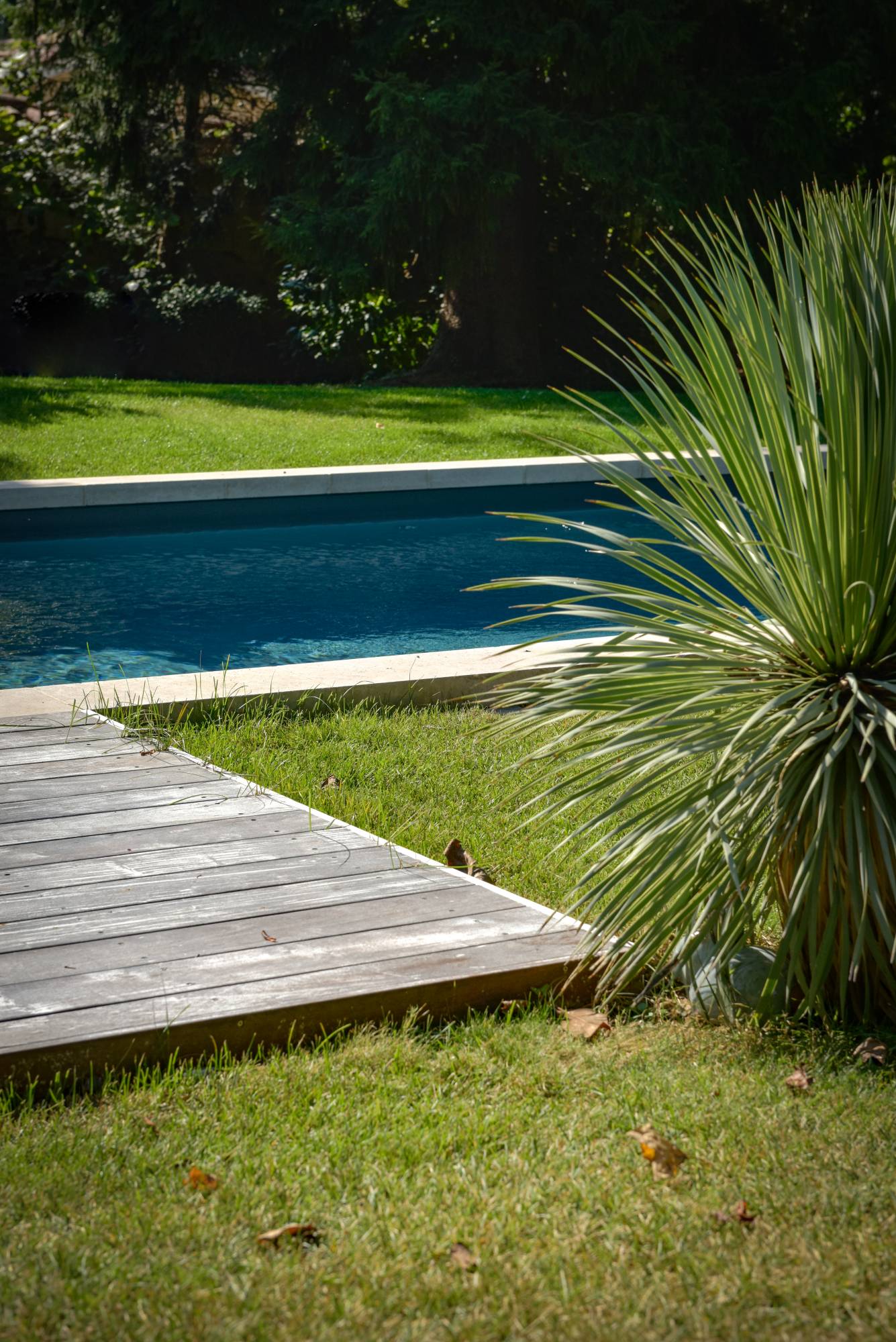 terrasse-ipe-retenue-corten-1Serratifolium