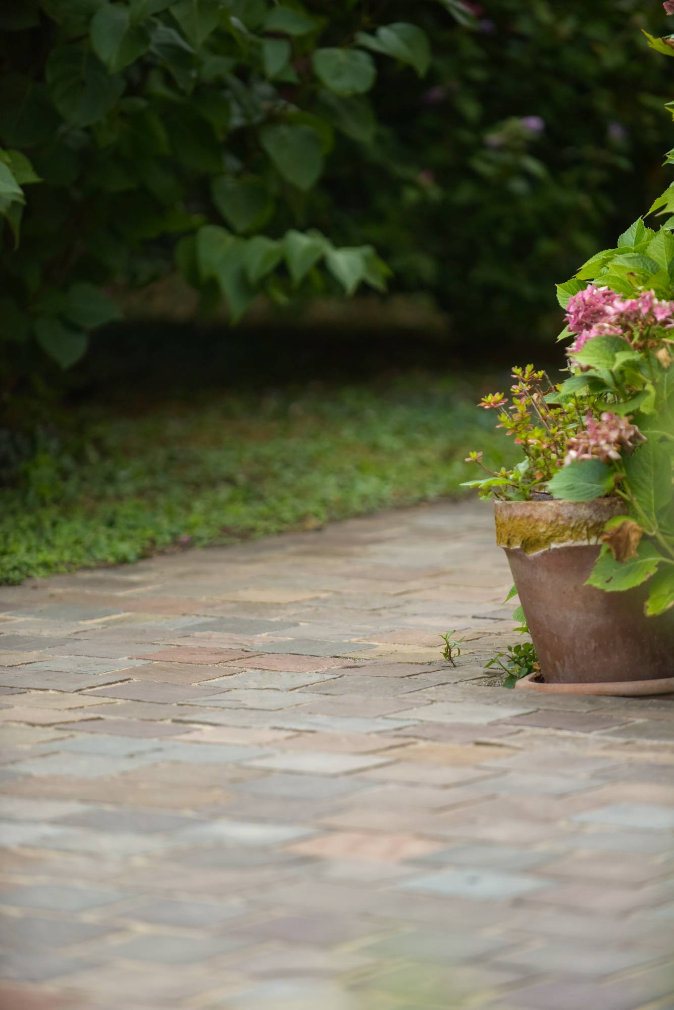 voie-acces-pave-pierre-beton-desactive-EBOL2025-21